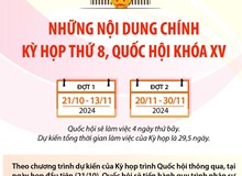 Những nội dung chính của Kỳ họp thứ 8, Quốc hội khóa XV