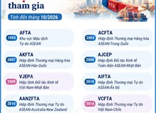 Các FTA Việt Nam tham gia (tính đến tháng 10/2026