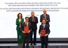 Vinachem tìm cơ hội nâng cấp nhà máy phân đạm, mở rộng sang công nghệ hydro cùng đối tác Pháp