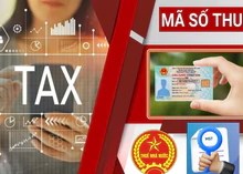 Thuế Hà Nội công bố 3 kênh hỗ trợ doanh nghiệp giải thể, đóng mã số thuế