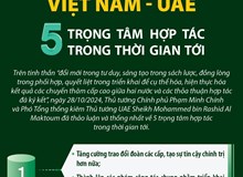 Việt Nam - Các Tiểu Vương quốc Arab Thống nhất (UAE): 5 trọng tâm hợp tác trong thời gian tới