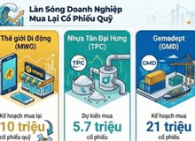 Vì sao loạt doanh nghiệp lớn đồng loạt mua cổ phiếu quỹ trong bối cảnh luật mới?