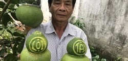 Trái cây tạo hình Tết hạ nhiệt, nhà vườn xoay hướng để tránh rủi ro