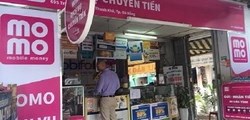 Bức tranh sở hữu phía sau ví MoMo: khối ngoại chi phối hơn 71% vốn