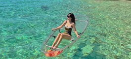 Việt Nam có điểm đến lọt top 7 thế giới về trải nghiệm rùa biển