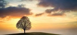“Functional loneliness” - Kiểu cô đơn âm thầm của những người trông lúc nào cũng ổn
