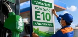 Hầu hết ô tô, xe máy tại Việt Nam đều có thể sử dụng an toàn xăng E10