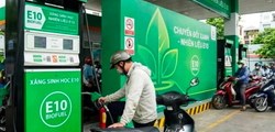 Xăng E10: Chuyên gia bác bỏ lo ngại, khẳng định nhiên liệu đạt chuẩn và an toàn cho phương tiện