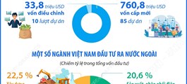 5 tháng năm 2026: Đầu tư của Việt Nam ra nước ngoài đạt 794,6 triệu USD gấp 2,5 lần so với cùng kỳ năm 2025