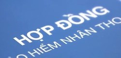 Thị trường bảo hiểm nhân thọ Việt Nam đón thêm tân binh, nâng số doanh nghiệp lên 21