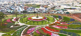 Delight Park: Thiên đường âm thanh, ánh sáng giữa lòng Đà Lạt