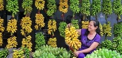 Đặc sản tiến vua nổi tiếng Ninh Bình: Vào mùa thường cháy hàng, nhiều người phải đặt trước mới mua được