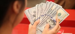 Dự báo tỷ giá, lãi suất thời gian tới: Tín dụng giữ đà tăng, lãi suất ổn định, VND chịu sức ép