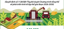 Một số mục tiêu đến năm 2030 của Chương trình tổng thể về phát triển kinh tế tập thể giai đoạn 2026-2030