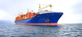 Mỹ, Nhật Bản, Hàn Quốc đồng loạt tăng nhập khẩu một mặt hàng của Việt Nam