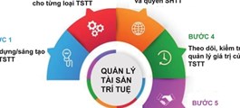Hoàn thiện chính sách tài sản trí tuệ: “Lá chắn” bảo vệ doanh nghiệp Việt trên thị trường toàn cầu