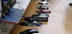 Đấu giá lô 7 ô tô từng bị ngập nước, giá khởi điểm hơn 2 tỷ đồng