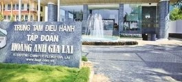 HAGL điều chỉnh lô trái phiếu 1.000 tỷ: Lợi tức giảm còn 11,5%, vốn đầu tư cà phê thay đổi