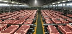 Thịt lợn nhập khẩu tăng mạnh, giá bình quân chỉ hơn 45.000 đồng/kg