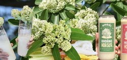 Trà sữa, nước khoáng hoa sữa ở Hà Nội: Sự thật phía sau món đồ uống gây tò mò