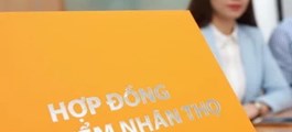 Rót 100 triệu vào bảo hiểm nhân thọ, 4 năm sau chỉ nhận lại hơn 24 triệu: Bài học tỉnh ngộ về “tích sản thông minh”