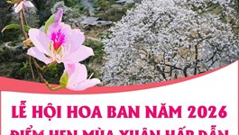 Lễ hội Hoa Ban năm 2026: Điểm hẹn mùa Xuân hấp dẫn