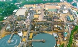 “Cửa sáng” cho đại gia Việt trong chuỗi cung ứng vonfram: Thời cơ lớn khi Trung Quốc siết xuất khẩu