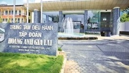 HAGL điều chỉnh lô trái phiếu 1.000 tỷ: Lợi tức giảm còn 11,5%, vốn đầu tư cà phê thay đổi