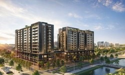 Taseco Group tròn 20 năm phát triển, được trao Huân chương Lao động hạng Nhì