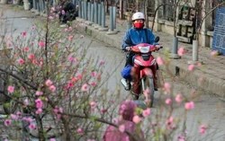 Tháng cuối năm âm lịch vì sao gọi là tháng Chạp? Những tầng ý nghĩa ít người để ý