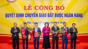 VPBank và HDBank chính thức nhận chuyển giao bắt buộc GPBank và DongABank