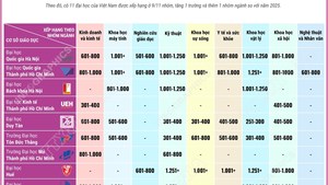 11 đại học Việt Nam vào bảng xếp hạng thế giới theo nhóm ngành
