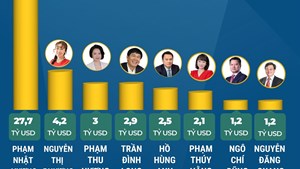 Năm 2026, Việt Nam có 8 tỷ phú USD