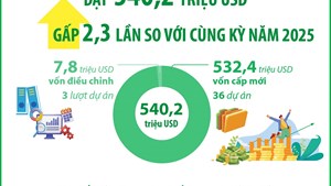 2 tháng năm 2026: Đầu tư của Việt Nam ra nước ngoài gấp 2,3 lần so với cùng kỳ năm 2025