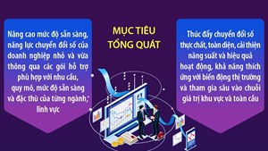 Nâng cao mức độ sẵn sàng, năng lực chuyển đổi số của doanh nghiệp nhỏ