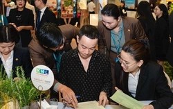 Lãi suất tăng chỉ là hiện tượng tạm thời, bất động sản vẫn giữ vai trò tích lũy dài hạn