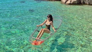 Việt Nam có điểm đến lọt top 7 thế giới về trải nghiệm rùa biển