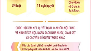 Kỳ họp thứ 9, Quốc hội khóa XV: Xem xét, sửa đổi Hiến pháp, sáp nhập đơn vị hành chính cấp tỉnh