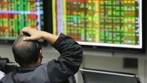 Vì sao không còn hiển thị giá ATO, ATC trong phiên khớp lệnh định kỳ?