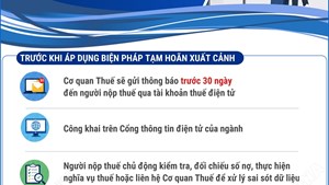 Những điều cần lưu ý về tạm hoãn xuất cảnh do nợ thuế