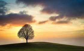 “Functional loneliness” - Kiểu cô đơn âm thầm của những người trông lúc nào cũng ổn
