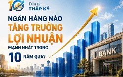 Nhiều ngân hàng ghi nhận lợi nhuận tăng hàng chục lần sau 10 năm, SeABank dẫn đầu tốc độ bứt phá