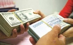 Không hài lòng mức lãi ngân hàng, giới đầu tư đang "rót tiền" vào đâu?