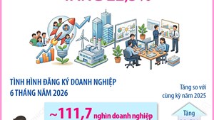 6 tháng năm 2026: Số doanh nghiệp thành lập mới tăng 22,5%