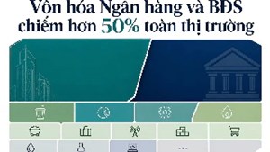 Bất động sản và ngân hàng chi phối hơn nửa thị trường