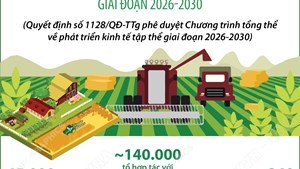 Một số mục tiêu đến năm 2030 của Chương trình tổng thể về phát triển kinh tế tập thể giai đoạn 2026-2030