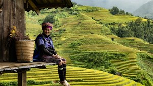 Du lịch Việt Nam lập kỷ lục nhờ chiến lược đa dạng hóa