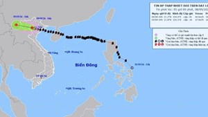 Bão số 3 (Yagi) đã suy yếu thành áp thấp nhiệt đới