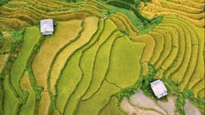 “Tòa tháp xanh” 121 tầng giữa núi Sa Pa: Công trình đặc biệt do con người tạo nên