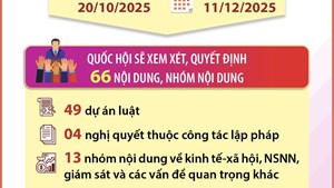 Kỳ họp thứ 10, Quốc hội khóa XV: Xem xét số lượng lập pháp lớn nhất từ đầu nhiệm kỳ